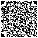 QR code with Public Storage contacts