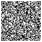 QR code with Professional Air Systems contacts