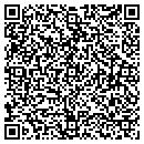 QR code with Chicken & Rice Inc contacts