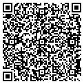 QR code with Stgc contacts