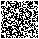 QR code with Precious Unique Souls contacts