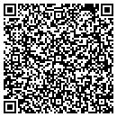 QR code with Carlson Launderland contacts