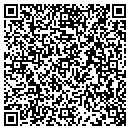 QR code with Print Deluxe contacts