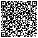 QR code with Dgsr Art contacts
