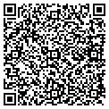 QR code with Tilt contacts