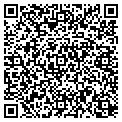 QR code with Stemco contacts