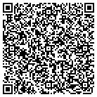 QR code with Professional Filing Systems contacts