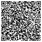 QR code with Public Safety Department contacts