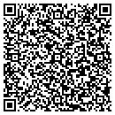 QR code with Precise Consulting contacts