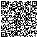 QR code with D Todo contacts