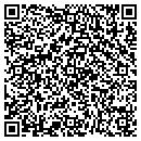 QR code with Purcifuls Toys contacts