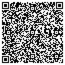 QR code with Capitol Rubber Stamp contacts