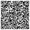 QR code with Precious Stones & Etc contacts