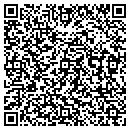 QR code with Costar Video Systems contacts