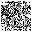 QR code with Professional Access Ltd contacts