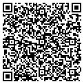 QR code with Saltex contacts