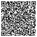 QR code with Navins contacts