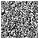 QR code with Tint Masters contacts