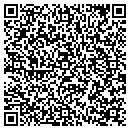 QR code with Pt Mugo Nawc contacts