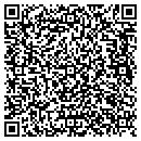 QR code with Stormys Plus contacts