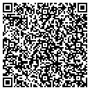 QR code with Princeton Review contacts