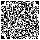 QR code with Pumpstar Concrete Pumping contacts