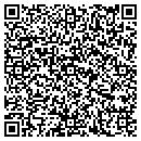 QR code with Pristine Pools contacts