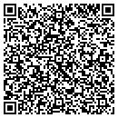 QR code with Professional Roofers contacts