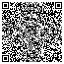 QR code with PSION Systems contacts