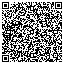 QR code with Brian's Tint Shop contacts