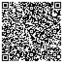 QR code with PR Cyber Ventures contacts