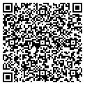 QR code with Buckle contacts