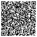 QR code with Amway contacts