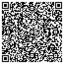 QR code with Proto Source contacts