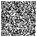 QR code with Magis contacts