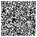 QR code with Willows contacts