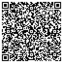 QR code with Blue Sky Water Works contacts