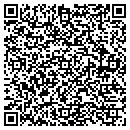QR code with Cynthia A Cook DDS contacts