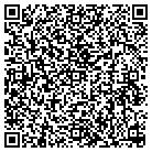 QR code with Public Strategies Inc contacts