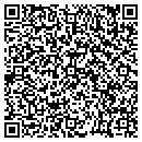 QR code with Pulse Staffing contacts