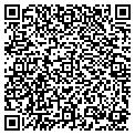 QR code with Cigna contacts