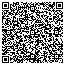 QR code with Practical Enginuity contacts