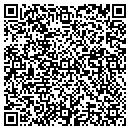 QR code with Blue Star Financial contacts