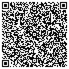 QR code with Blue Dolphin Dive Center contacts