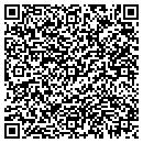 QR code with Bizarre Bazaar contacts
