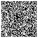 QR code with Prints Unlimited contacts