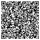 QR code with Public Storage contacts