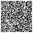 QR code with Cytec Corporation contacts