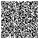 QR code with Bo Carpenter Painting contacts
