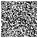 QR code with Public Library contacts